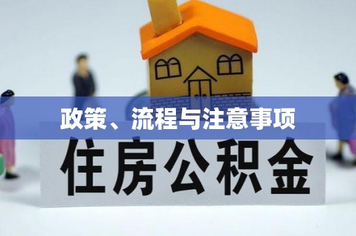 芬园政策、流程与注意事项