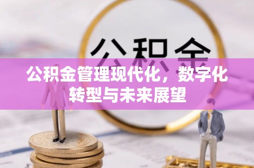 芬园公积金管理现代化，数字化转型与未来展望
