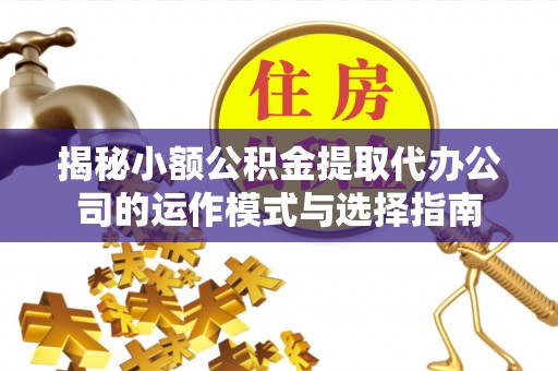 芬园揭秘小额公积金提取代办公司的运作模式与选择指南