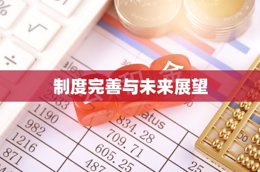 芬园制度完善与未来展望