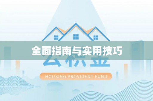 芬园全面指南与实用技巧