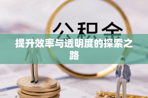芬园提升效率与透明度的探索之路