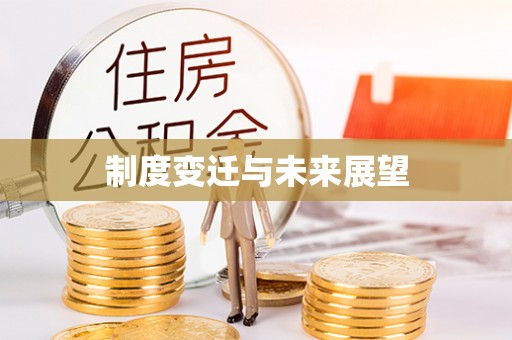 芬园制度变迁与未来展望