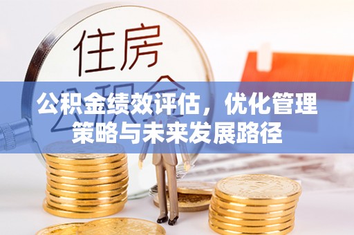 芬园公积金绩效评估，优化管理策略与未来发展路径