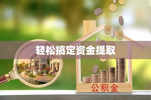 芬园轻松搞定资金提取