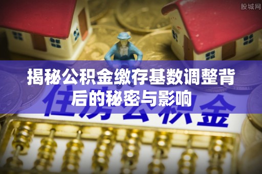芬园揭秘公积金缴存基数调整背后的秘密与影响