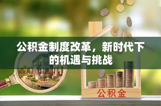 芬园公积金制度改革，新时代下的机遇与挑战