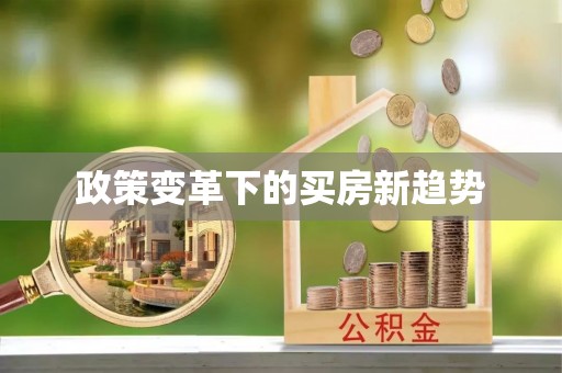 芬园政策变革下的买房新趋势