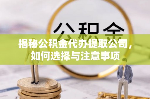 芬园揭秘公积金代办提取公司，如何选择与注意事项