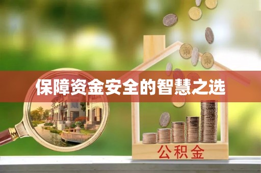 芬园保障资金安全的智慧之选