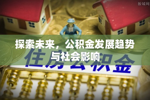 芬园探索未来，公积金发展趋势与社会影响