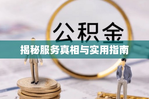 芬园揭秘服务真相与实用指南