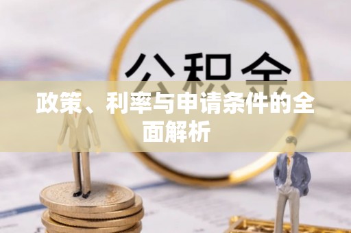 芬园政策、利率与申请条件的全面解析