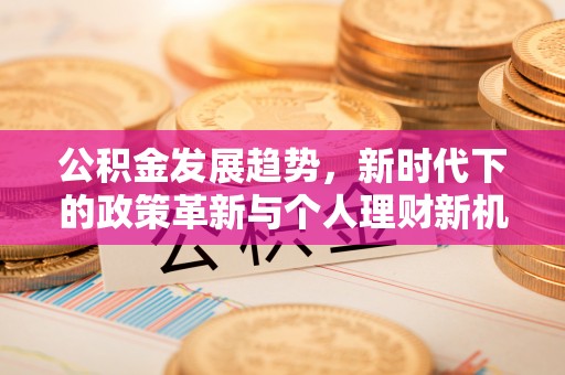 芬园公积金发展趋势，新时代下的政策革新与个人理财新机遇