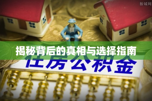 芬园揭秘背后的真相与选择指南