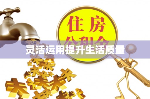 芬园灵活运用提升生活质量