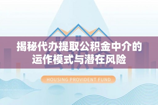 芬园揭秘代办提取公积金中介的运作模式与潜在风险