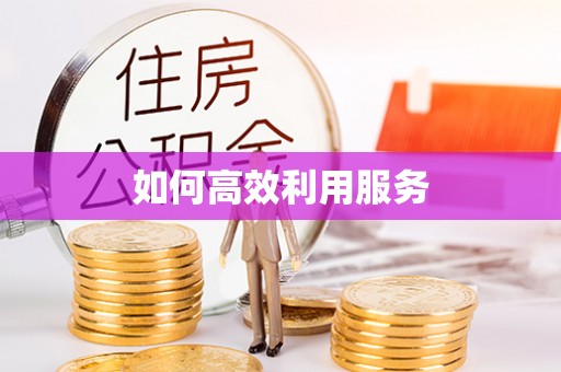 芬园如何高效利用服务