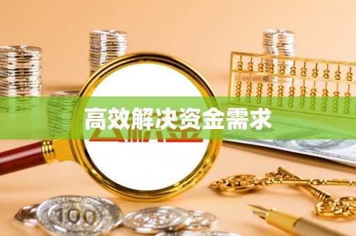 芬园高效解决资金需求
