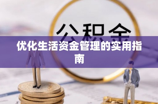 芬园优化生活资金管理的实用指南