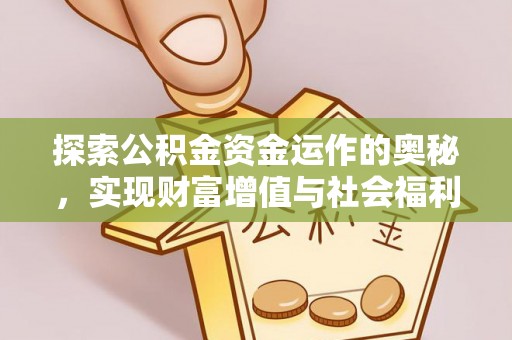 芬园探索公积金资金运作的奥秘，实现财富增值与社会福利双赢