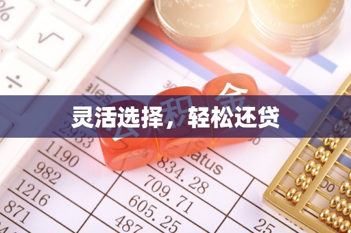 芬园灵活选择，轻松还贷