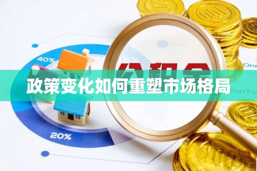 芬园政策变化如何重塑市场格局