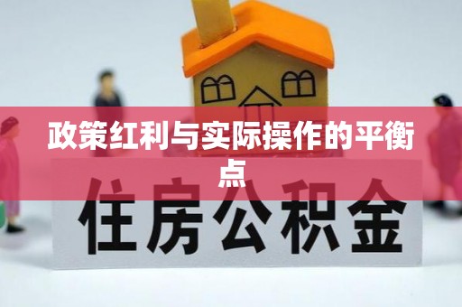 芬园政策红利与实际操作的平衡点