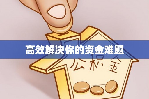 芬园高效解决你的资金难题
