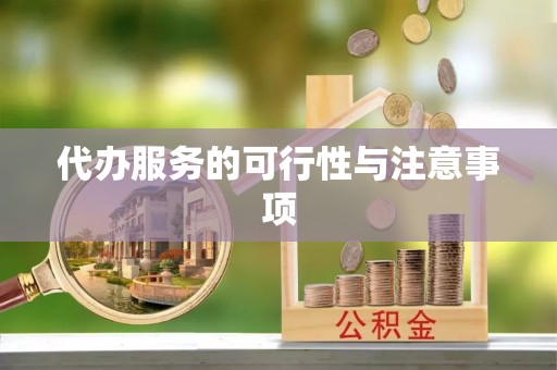 芬园代办服务的可行性与注意事项