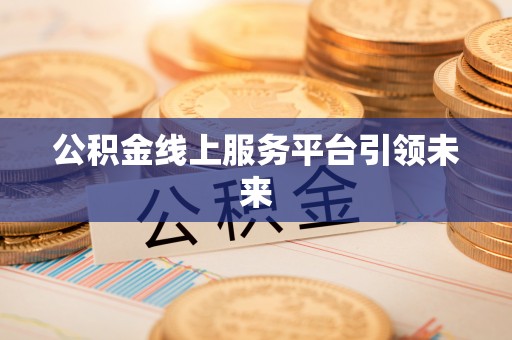 芬园公积金线上服务平台引领未来