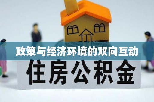 芬园政策与经济环境的双向互动