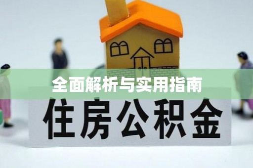 芬园全面解析与实用指南