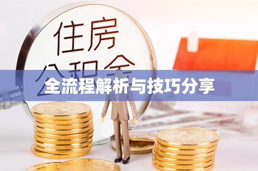 芬园全流程解析与技巧分享
