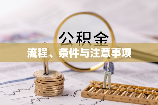 芬园流程、条件与注意事项